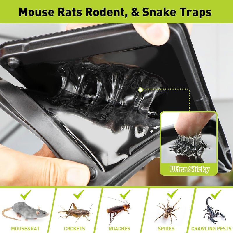 Pelrayt Glue Mouse Traps Indoor for Home, Rat Trap-12 Pack, Large Heavy Duty Glue Traps for Safe Home Pest Control. Pre-Scented, Non-Toxic Sticky Boards for Mice, Rats & More. Easy To Use - Image 2